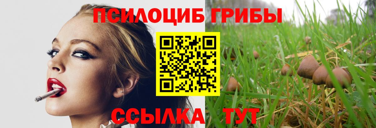 Псилоцибиновые грибы Magic Shrooms  Вход с VPN  Тавда  как найти   Галлюциногенные грибы MAGIC MUSHROOMS 